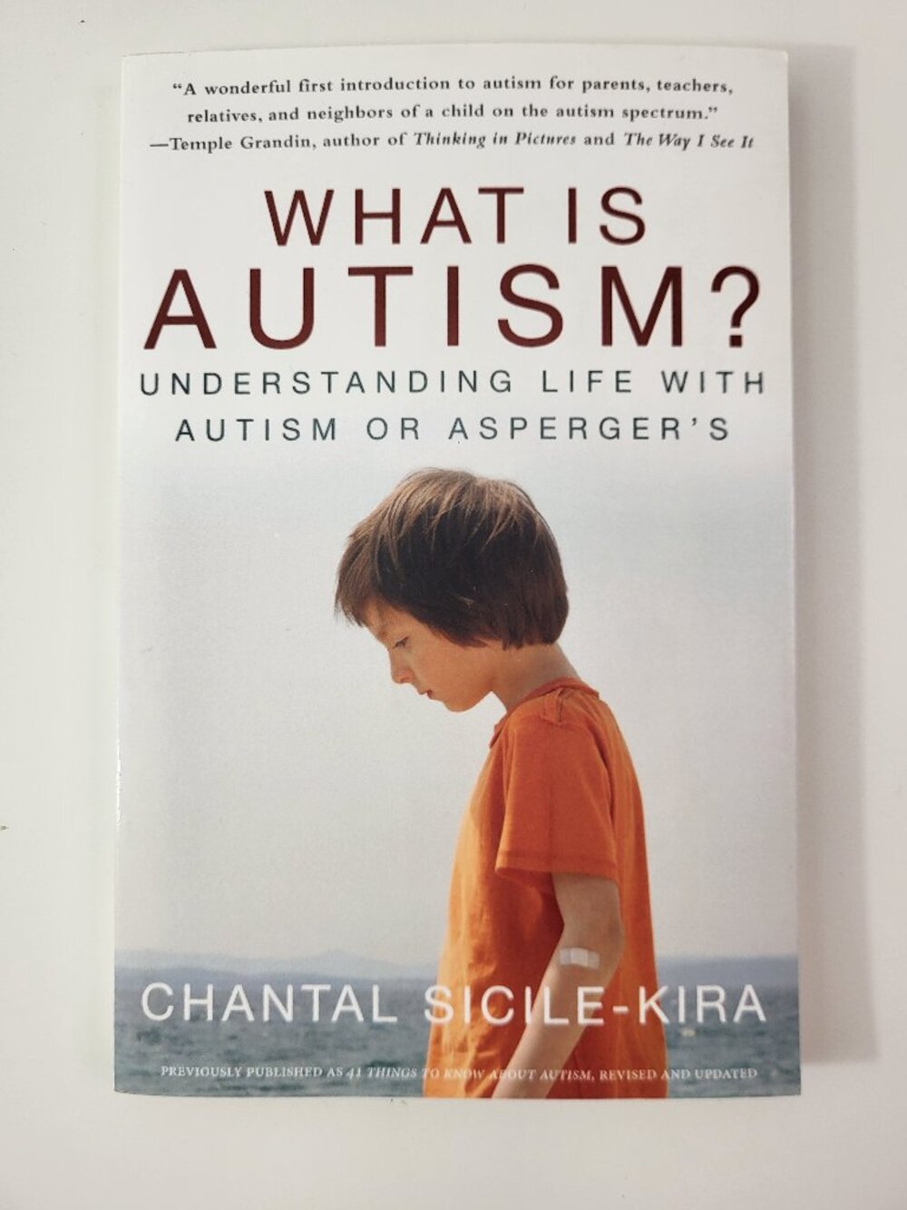 What Is Autism? Understanding Life with Autism or Asperger's by Chantal Sicile-K